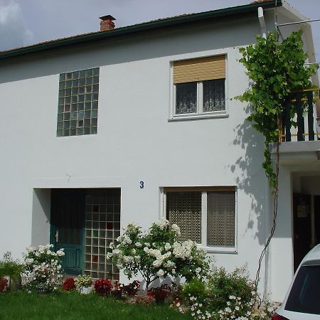 Apartments And Rooms Mirjana Bibinje Exterior photo